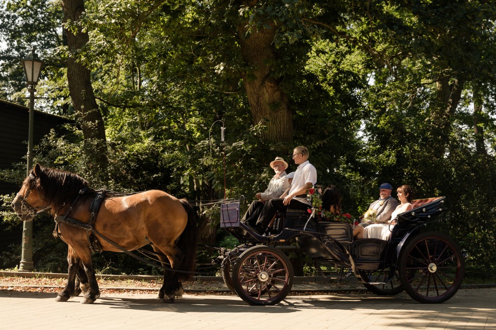 Reiterhof Müller Loddin Hochzeitskutsche in Koserow